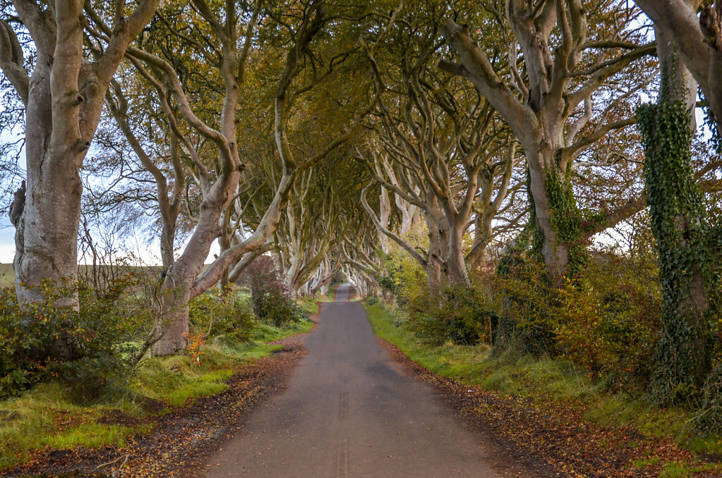 Irlandia Północna